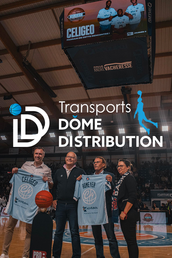 logo tdd basket